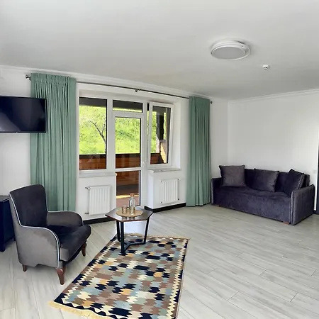 готель-ресторан два леви Otel Slavske